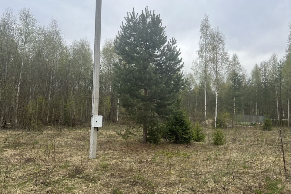 СНТ Родничковое Всеволожский. СНТ клубничное. Потребительский кооператив садоводов Андреевский флаг. ПКС Андреевский флаг Садоводство.