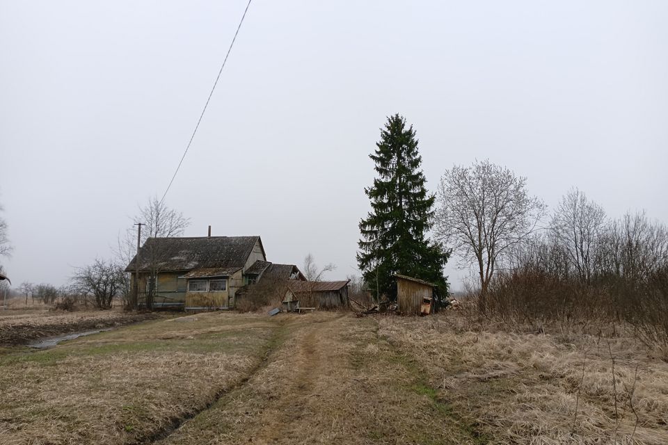 Доброе сердце и золотые руки Венера Гизатуллина из башкирской деревни Озерки