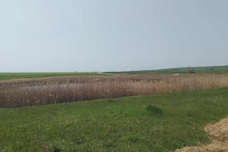 Продаётся участок, 500 сот., Фермерский