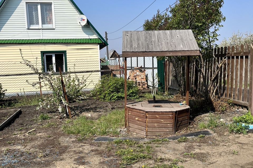Курган СНТ реченька. Виноград у колодца.