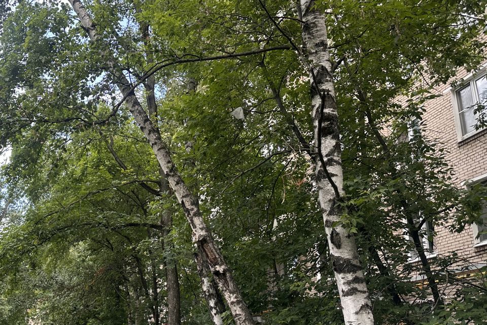 Продаётся студия, 12 м²