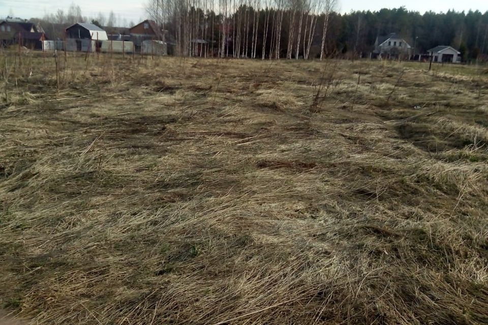 Ленинградская лпх