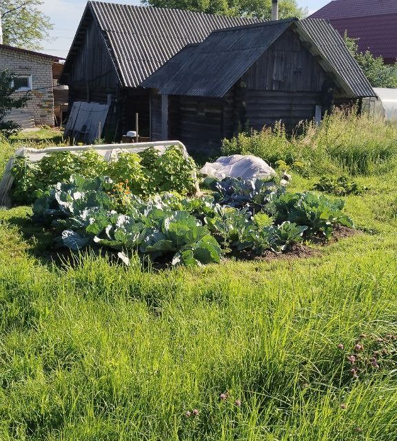 Любительский хоккей: с чего начать, с кем играть и что покупать | VK