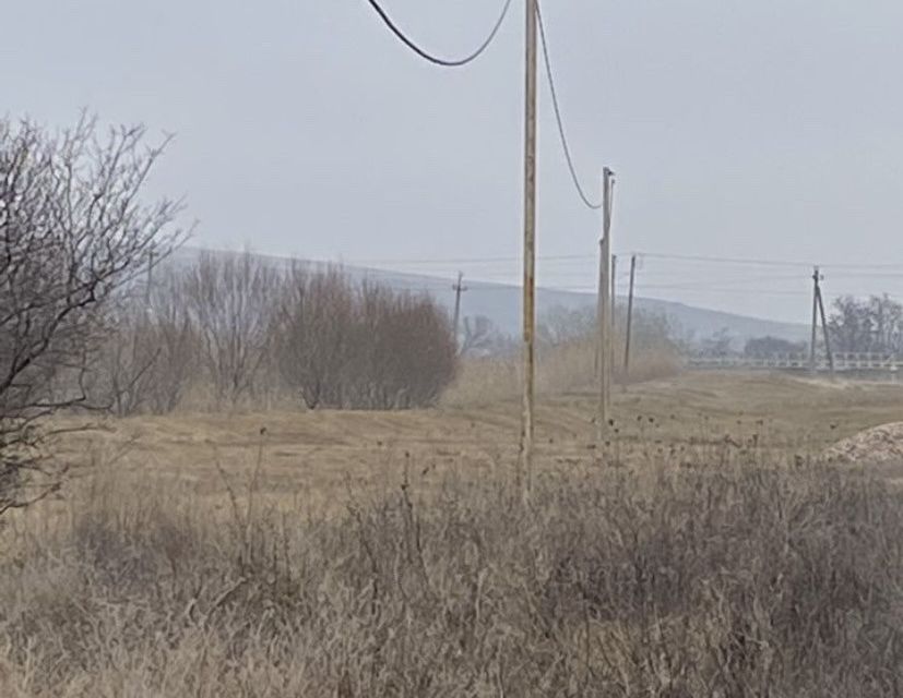 Село камышинка
