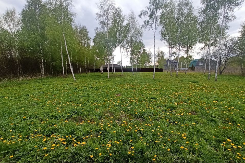 Деревня косякино фото. Улицы в дачном массиве. Деревня косякино московская область. Деревня бронницы. Косякино.