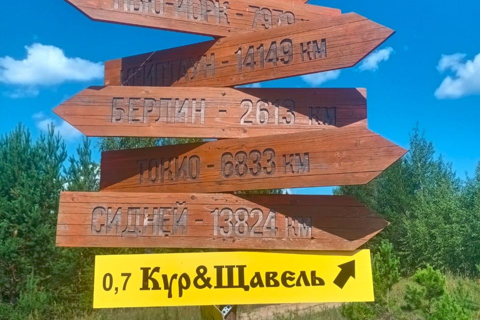 Указатели в лесу. Указатель this. Указатели в лесных отелях. Ski Park.