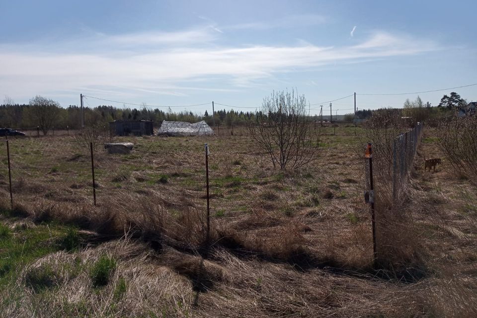 Купить Участок В Чудовском Районе Новгородской Области