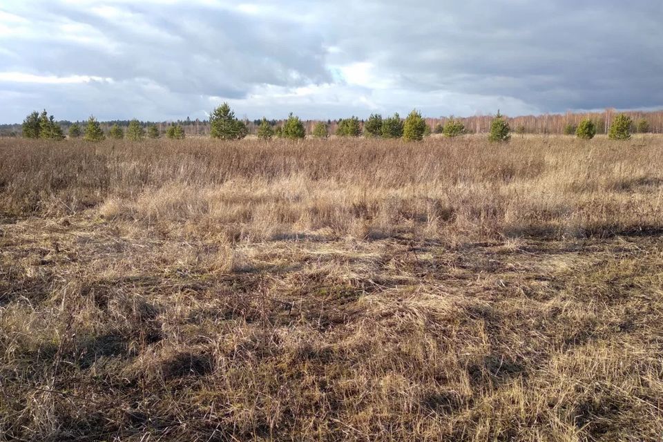 Купить Участок В Пермском Районе Ижс