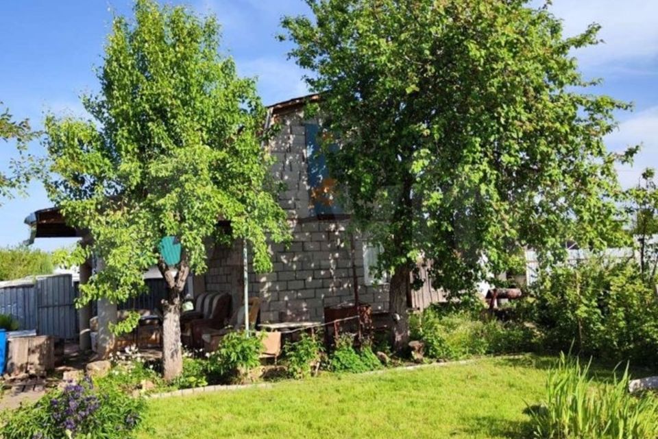 Дачи пески в балаково. Дачи пески.