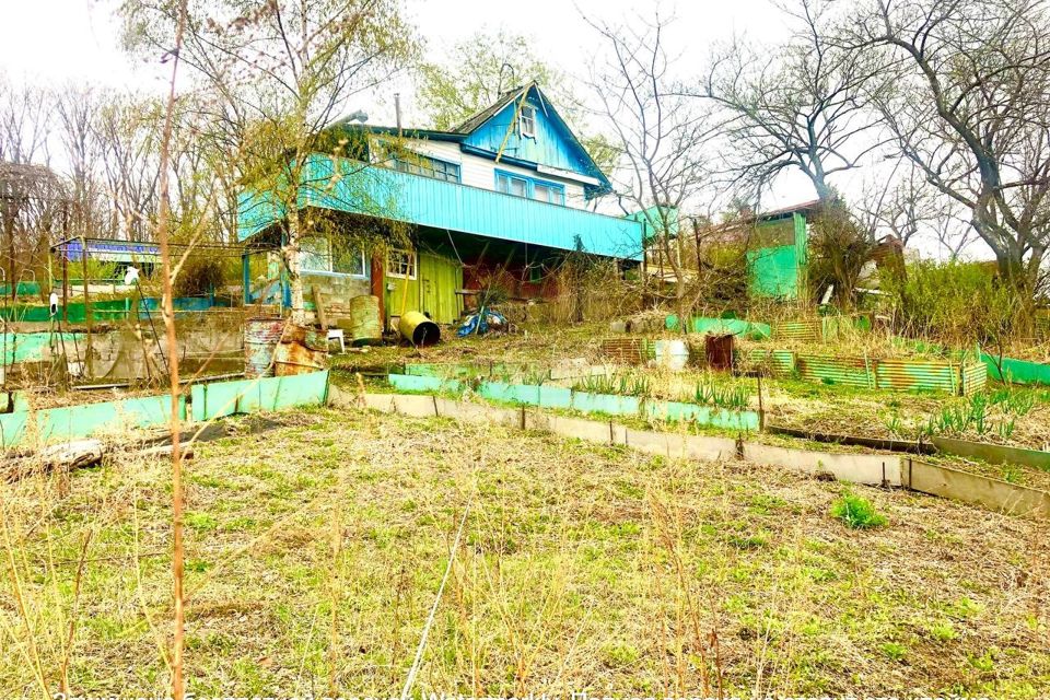 Тигровая падь. Тигровая Падь Приморский край. Владивосток тигровая Падь. СНТ Аргус Владивосток.