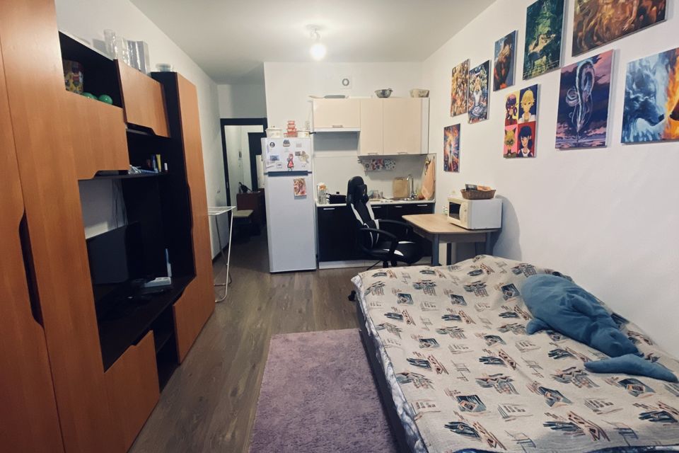 Продаётся студия, 24.6 м²