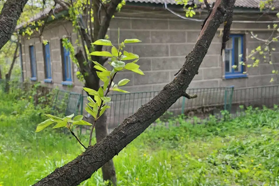 Продаётся 1-этажный дом, 57 м²