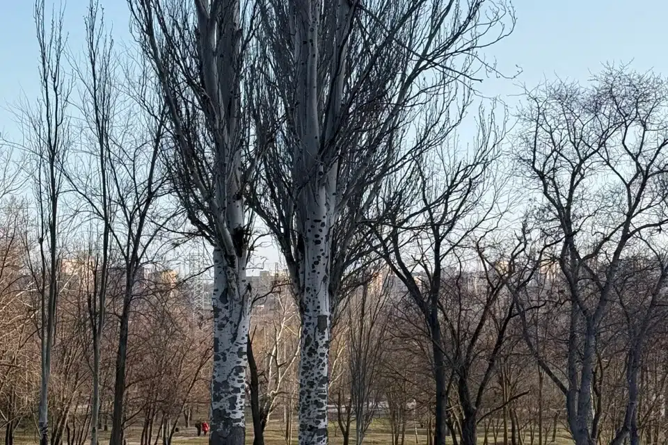 Продаётся 2-комнатная квартира, 51.4 м²