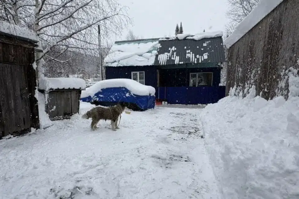 Продаётся 1-этажный дом, 50 м²
