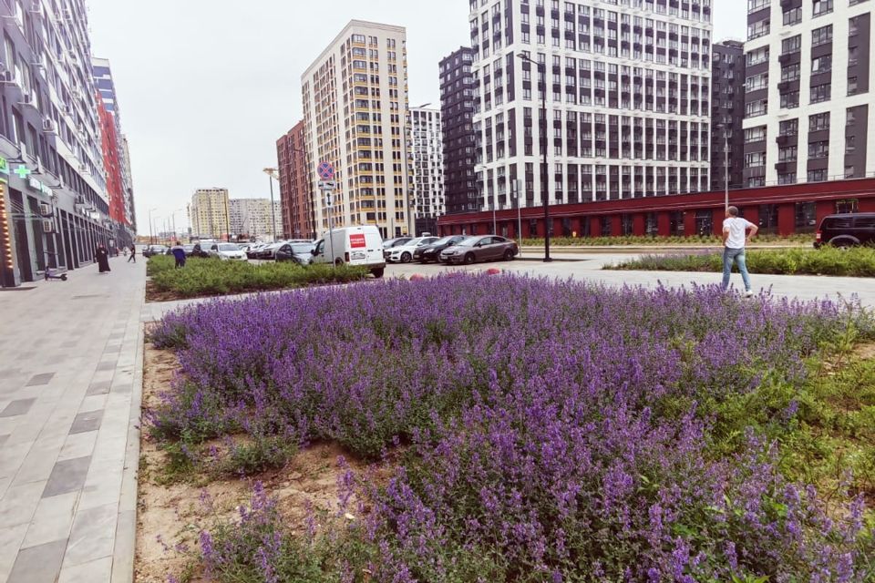 Продаётся студия, 24.4 м²