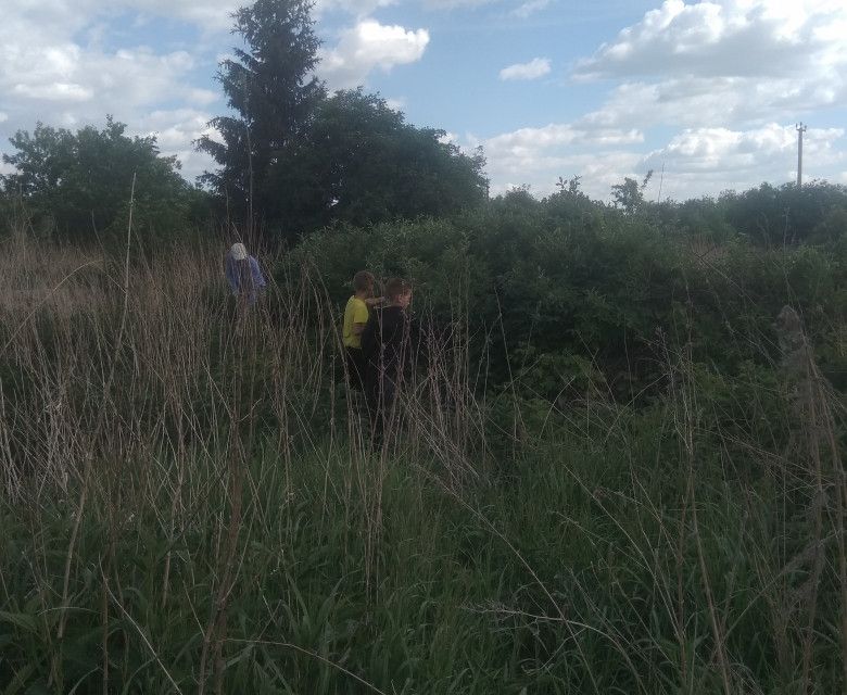 Купить Дом В Падь Омской Области