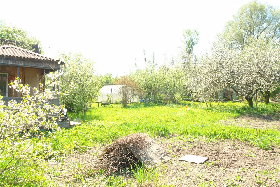 Снт родничок форносово. Дачи за плотиной в обнинске. Снт родничок новокузнецк. Родничок обнинск. Дом в снт.