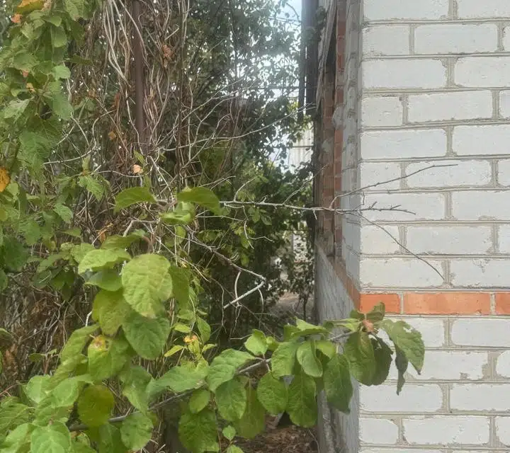 Продаётся 2-этажный дом, 50 м²