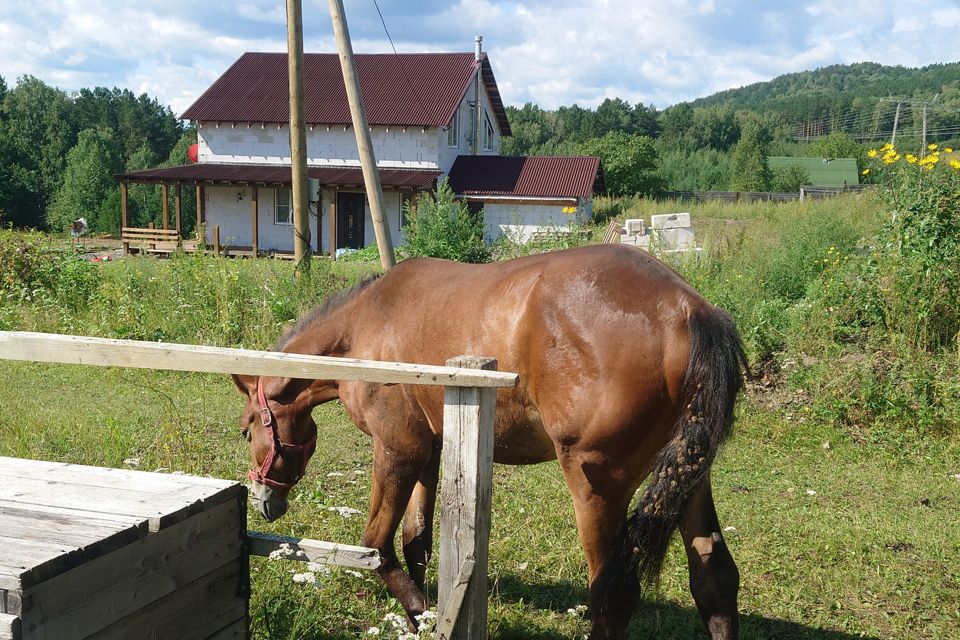 Купить Землю Под Ижс В Красноярска