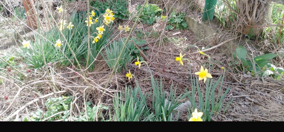 Продаётся 1-этажный дом, 44 м²