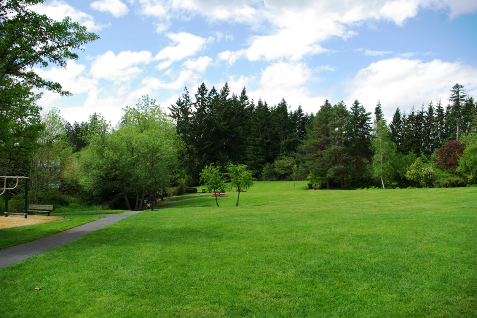 Лесные поляны участки купить. Газон «садово-парковый» зеленый. Хелен парк+ ландшафт. Гарден Фореста ландшафт. Деревья на газоне.