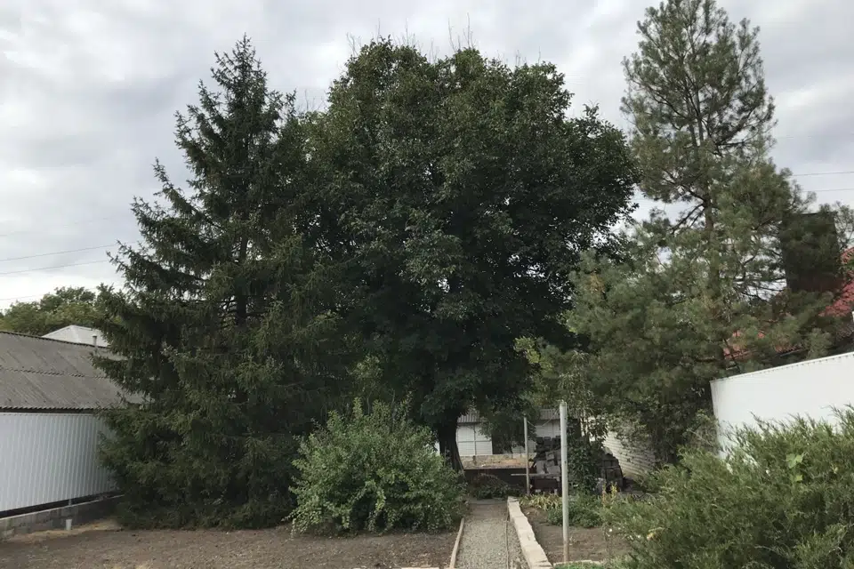 Продаётся 1-этажный дом, 67.7 м²