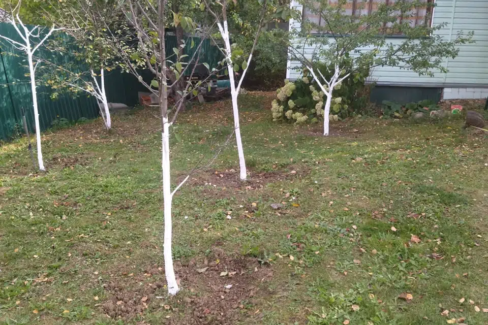 Продаётся 1-этажный дом, 46 м²