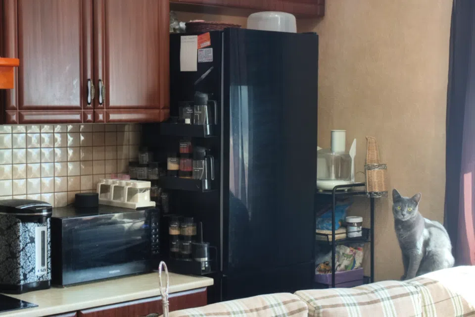 Продаётся студия, 55 м²