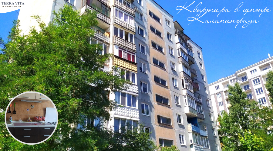 Купить 2 Комнатную Калининград
