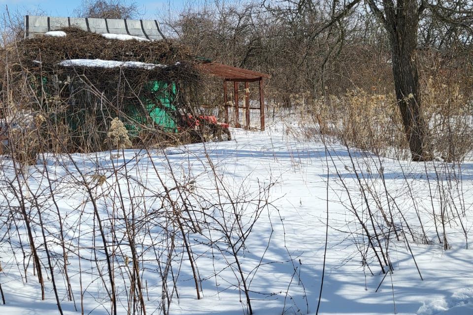 Садовое товарищество курск