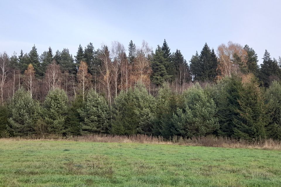 Ферма В Д Саньково Клинского Района Фото