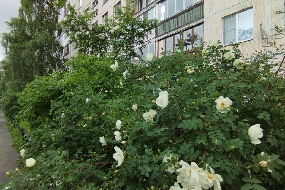 Продаётся 3-комнатная квартира, 58.1 м²