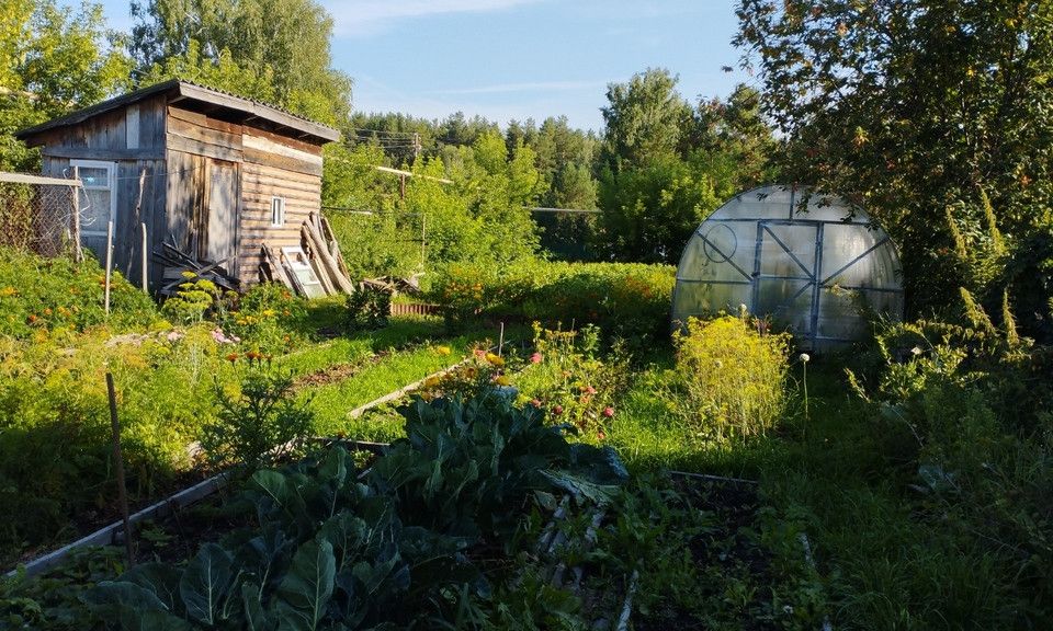 Купить Дом В Сосновке Новосибирский