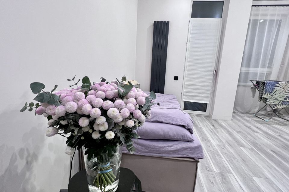 Продаётся студия, 23.9 м²