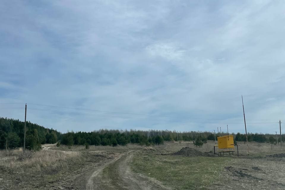 Мордовия село новая пырма. Турдаки пензенская область. Мордовия село новая пырма. Турдаки мордовия. Новая пурень фото.