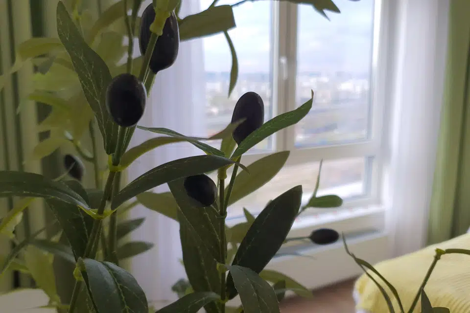Продаётся студия, 23.3 м²