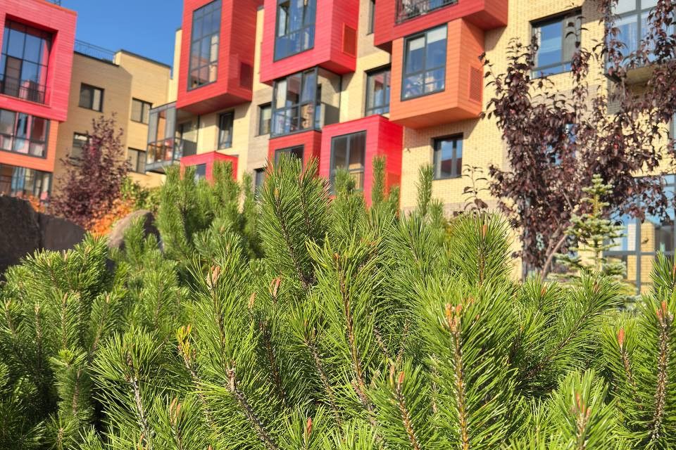 фото отбъекта