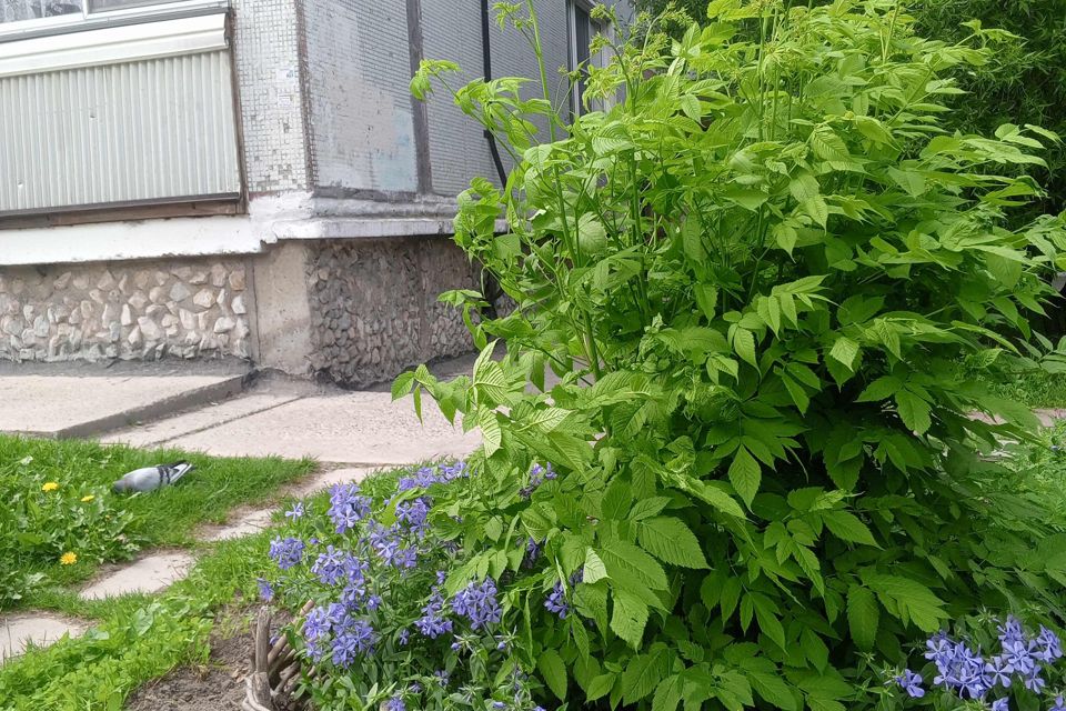 Продаётся студия, 15 м²