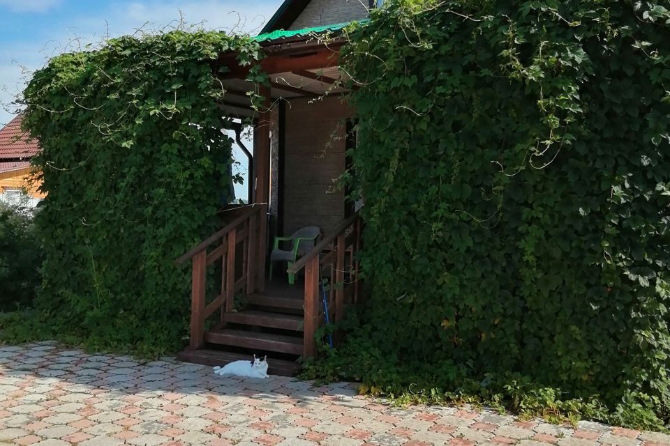 Июль снт