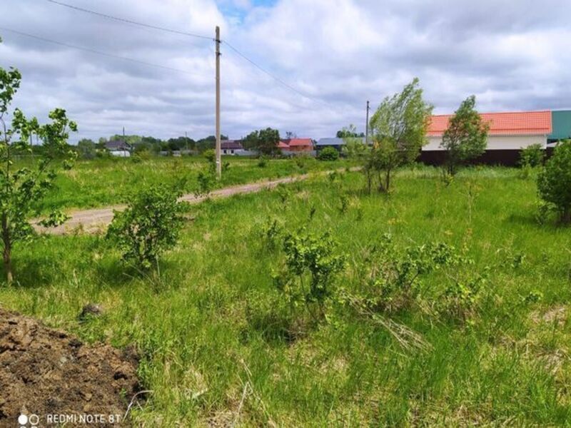 16 полевой участок краснодар. 16 полевой участок 7 краснодар. 16 полевой участок 7 краснодар. 16 полевой участок 7 краснодар. Поселок российский краснодар.