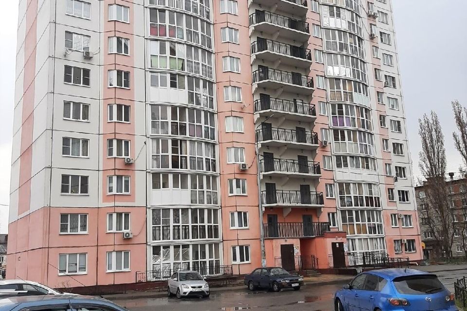 Улица евдокима огнева санкт-петербург. Часодеи белая королева лисса. Огнева парк. Огнева парк. Огнева парк.