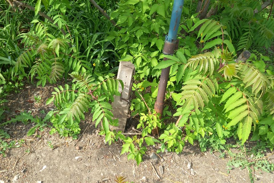 Купить Дом В Палимовке Бузулукского Района Оренбургской