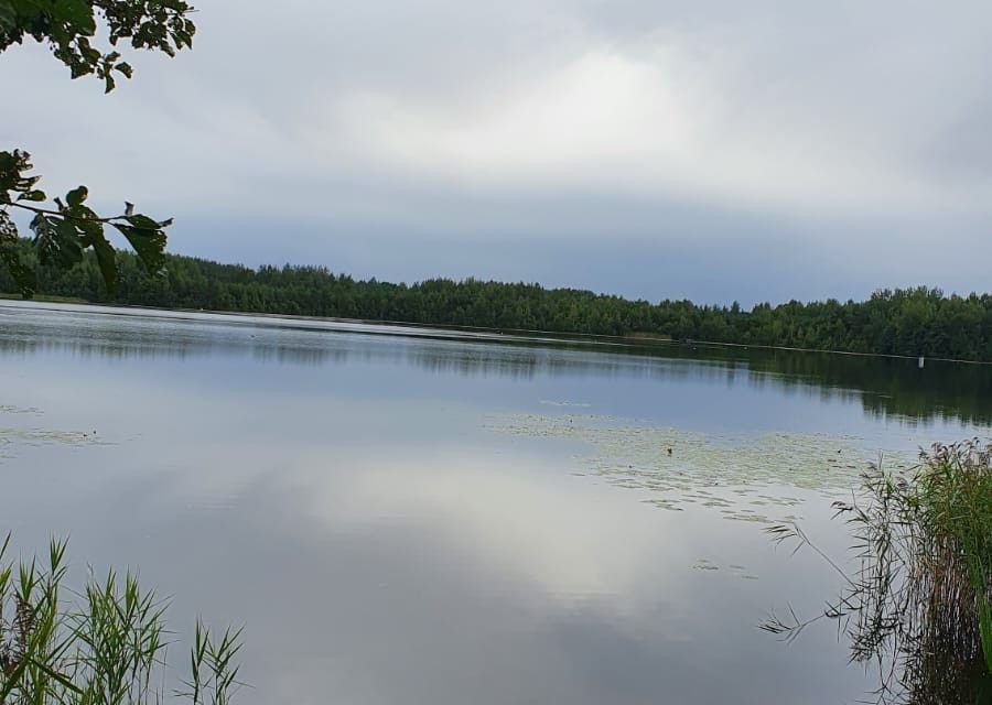 Купить Дачу В Пскове Пристань 2