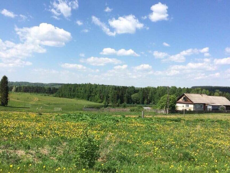 Земельные участки пермский. Таборы Пермский край Оханский район. Село таборы Оханский район. Река Таборка Пермский край. Оханская возвышенность.