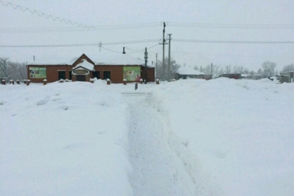 Рп5 гальбштадт. Гальбштадт Алтайский край улица Первомайская. Немецкая деревня на Алтае Гальбштадт. Купить дом в немецком районе Алтайского края Гальбштадт. Купить дом в Гальбштадте Алтайского края.