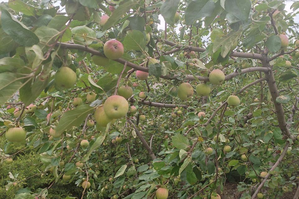 Продаётся 2-этажный дом, 251.9 м²