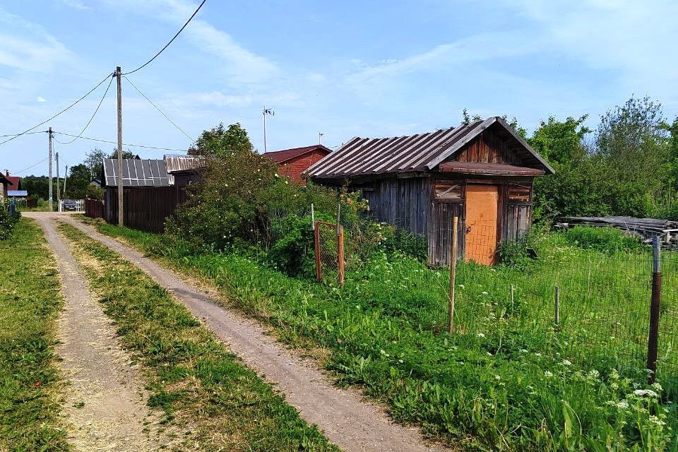 Деревня кисельня. Ленобласть кисельня.