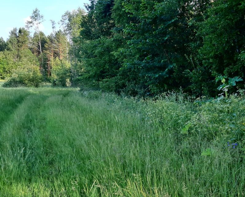 Купить Участок В Дивенской Лужский Район