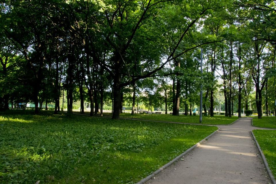 Тимирязевский парк фото