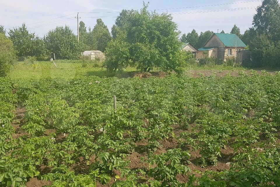 Снт черемушки курган. Мало Чаусово Курган. СНТ изумрудный Курган. Дача Утяк. СНТ Зауралье фото.